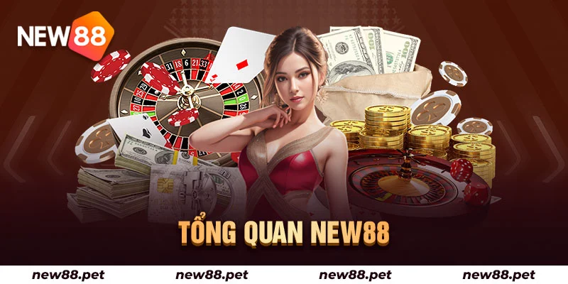 Những thông tin tổng quan giúp bạn hiểu hơn về nhà cái uy tín này